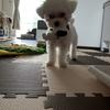 るいはる