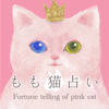もも猫占い®︎