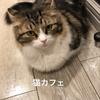 neko180
