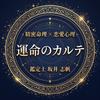 坂井志帆の運命のカルテ