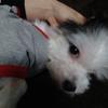 erissan__