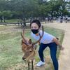 南山宗太郎