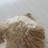 たっかくん