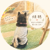 INKO_8