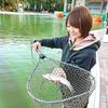 sayapp503