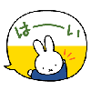 ミッフィー222