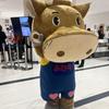 りなへえ
