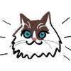 西隠田さめこ