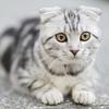 アンドコンサルティング