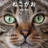 たまきちろっく