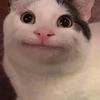 おこめ25