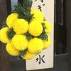 京都移住案内人　maio