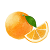 mikan_degudegu