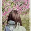 Himika 87