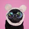 pugzo