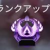 APEXプレ