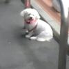 わーん！
