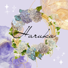 紫陽花【Haruka】