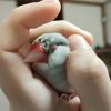 紙ペーパー