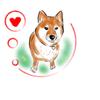なまみ