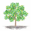 ふるりら