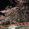 だにお。