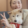 いでみち
