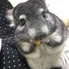 ラズロ