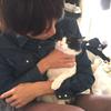 Yosuke  Saito