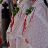 未来霊視【雅神紫乃】鑑定歴13年