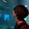 海_Youtubeオタク