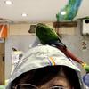 noriko50