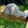 ひじき 元ホストお悩み相談室