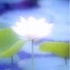 スピリチュアルカウンセラー鞠花