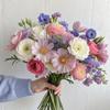 rena_design72