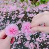 うたっこ