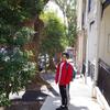 YOSHIYA ir