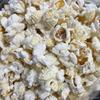 Popcorn Flower