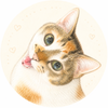 ミヒト