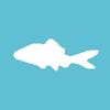 Sakana_Fish__3