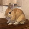 まりもりもり