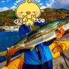 釣りバカ‪  fishing