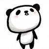 ❤︎PANDA❤︎MANIA❤︎
