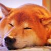 ズバッと相談窓口