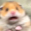 きんはむ