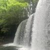 坂井聖