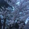 中村 和幸