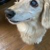 てつろうくん