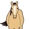 ユーマの馬体診断