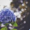 yuka。